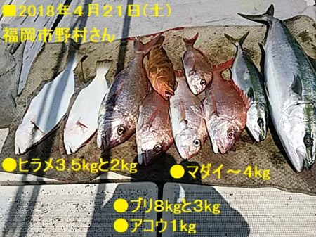 大物釣果速報！●光義丸：平戸市早福港