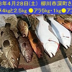 大物釣果速報！●光義丸：平戸市早福港