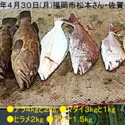 大物釣果速報！●光義丸：平戸市早福港