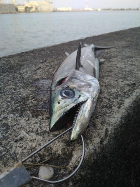 ショアジギング　富山