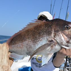 ジギング船 BLUEWATER 釣果