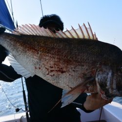 ジギング船 BLUEWATER 釣果