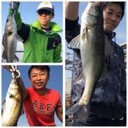 シーマジカル 釣果