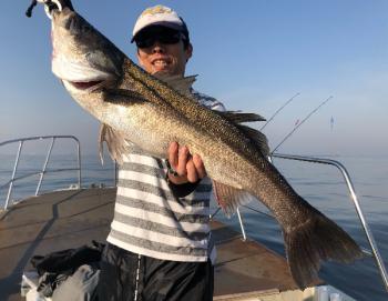 シーマジカル 釣果