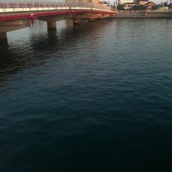 浜名湖 弁天島 メバリング