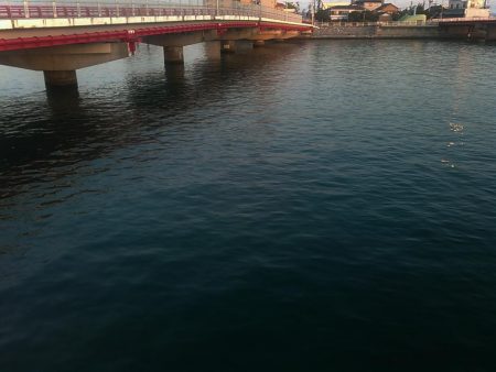 浜名湖 弁天島 メバリング