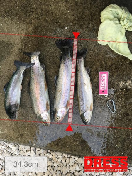 初トラウトフィッシング