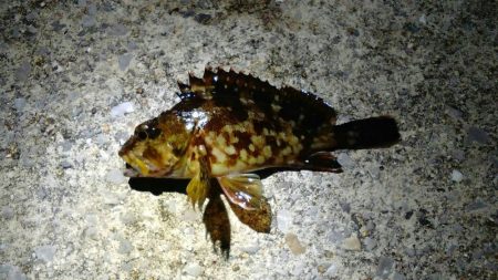 苦手意識克服戦!!