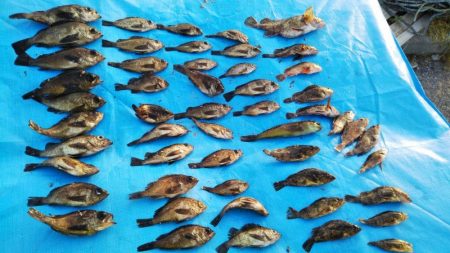 先輩ロストヴァージン釣行