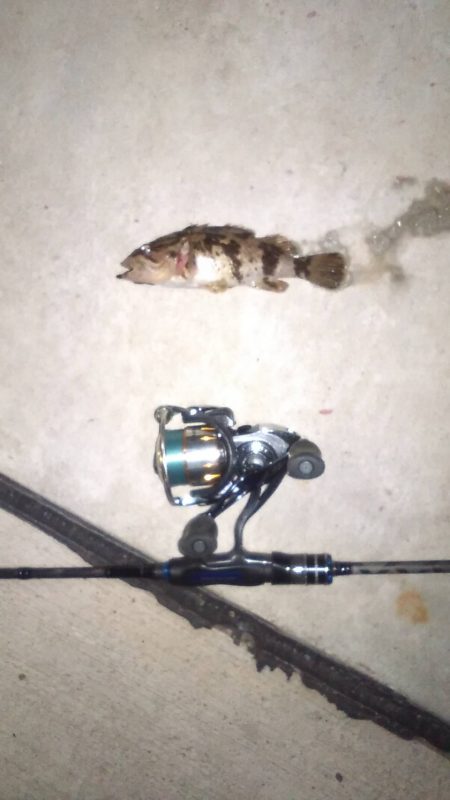 臨時収入Getで明石出撃!!