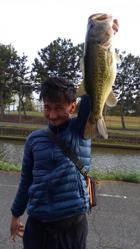 ぐりぐりダブル巻き巻き~