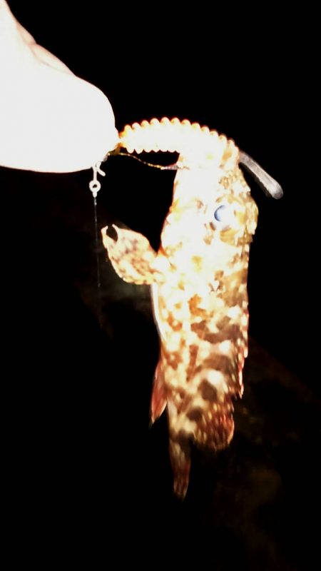 外道で三目達成(笑)