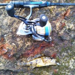 朝マヅメ江井ヶ島リベンジマッチ•̀.̫•́✧