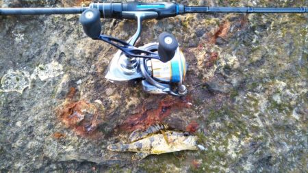 朝マヅメ江井ヶ島リベンジマッチ•̀.̫•́✧