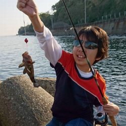 アジはまだ？まだまだロックフィッシュ