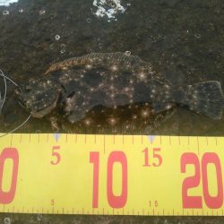 ふらっとふぃっしゅ