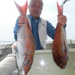 アコウとタイ釣り