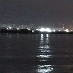 フロート何もこず