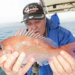 アジ・イサキ釣り