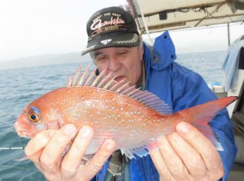 アジ・イサキ釣り