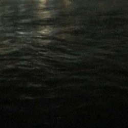 沖のデカメバルには会えず・・・