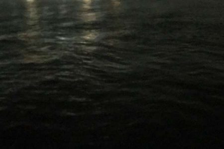 沖のデカメバルには会えず・・・