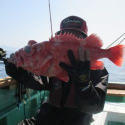 土佐安芸のハマちゃん　