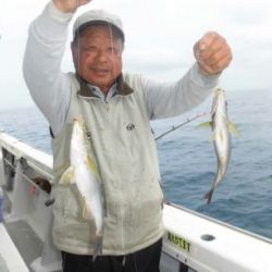 土佐安芸のハマちゃん