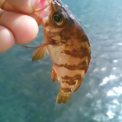 ひさびさの癒し～