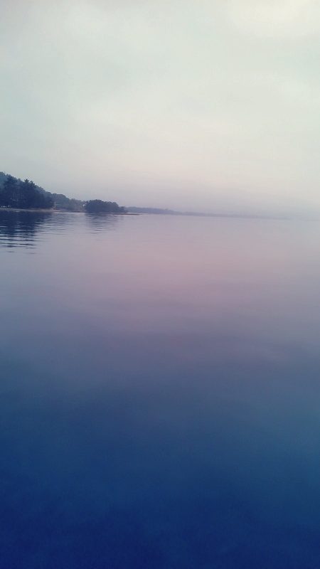 メバルは･・？