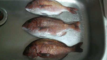 ハプニングが・・・