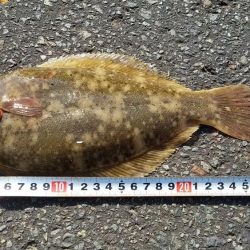 長いトンネルをついに脱出‼