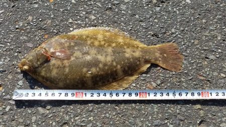 長いトンネルをついに脱出‼