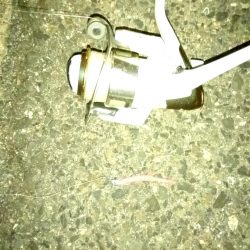 メバリング練習