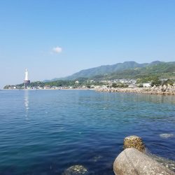 久しぶりに大量♪