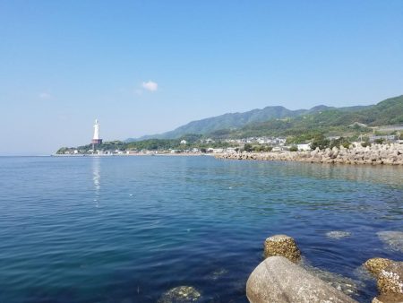 久しぶりに大量♪