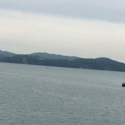 久しぶりのコウちゃん