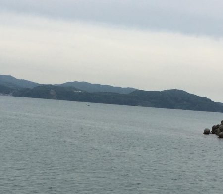 久しぶりのコウちゃん