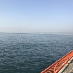 今年、初ゲット！