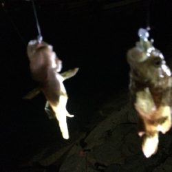 風がきつく大苦戦