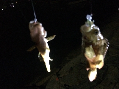 風がきつく大苦戦