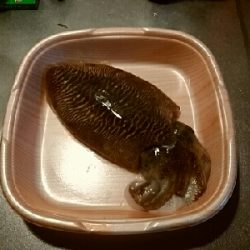 愛しのコウちゃん。