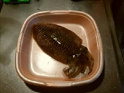 愛しのコウちゃん。