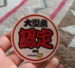 初場所サーフ調査