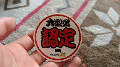 初場所サーフ調査