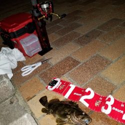 快適な釣りでした❗