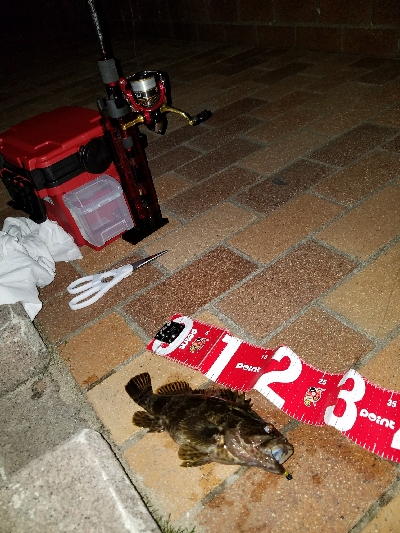 快適な釣りでした❗