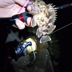 ガッシーまつり