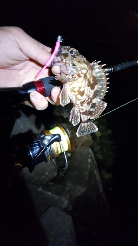 ガッシーまつり