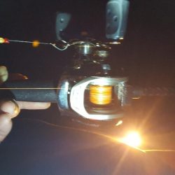 どこへ行ってもカサゴばかり